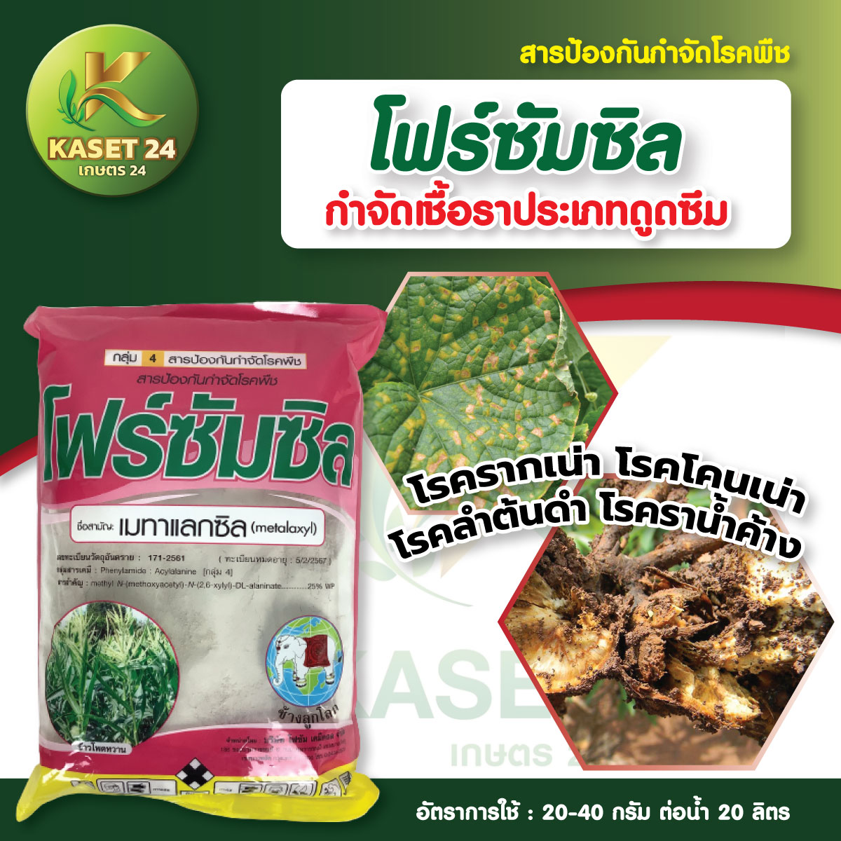 ยากำจัดเชื้อรา โฟร์ซัมซิล เมทาเเลกซิล กำจัดเชื้อรา ออกฤทธิ์ป้องกันและรักษาโรคพืช รากเน่า โคนเน่า ไฟทอปธอร่า (ขนาด 1 กิโลกรัม) ส่งฟรีเก็บเงินปลายทาง (ไม่บวกเพิ่ม)