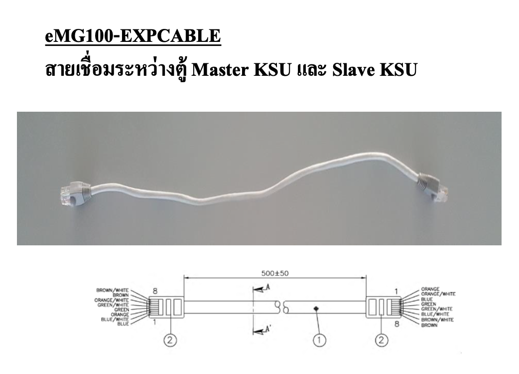 eMG100-EXPCABLE
