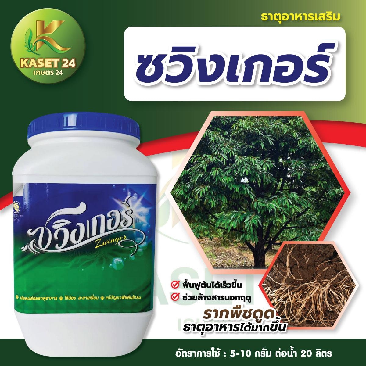 ซวิงเกอร์ ช่วยฟื้นต้น ล้างสาร ดูดธาตุอาหารมากขึ้น