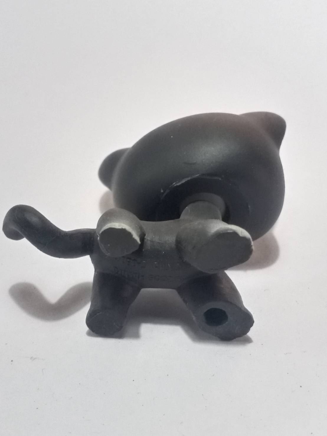 แมวสยาม (Siamese cat) สีเทา-ดำ ตาสีดำแซมฟ้า (หายาก)