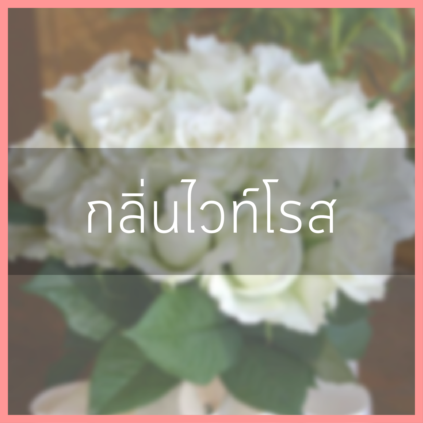 # น้ำหอม กลิ่นไวท์โรส