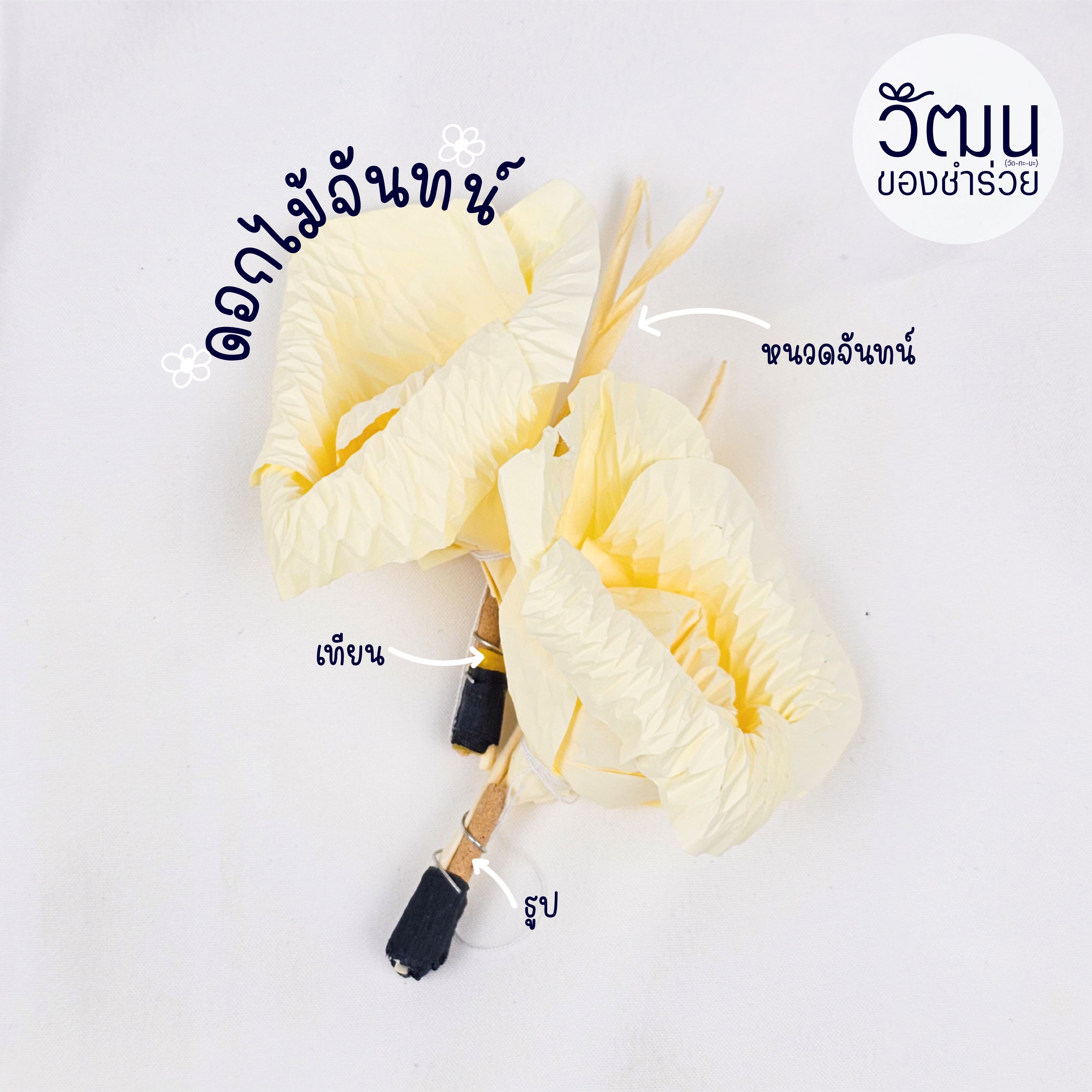 ดอกไม้จันทน์ (100)