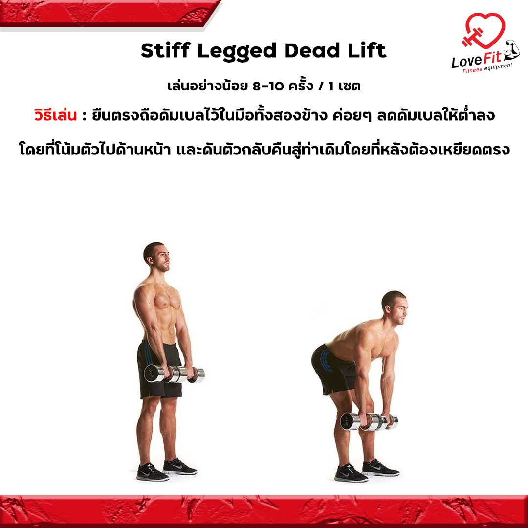 ดัมเบล,dumbbell,กล้ามขา,สร้างกล้ามขา
