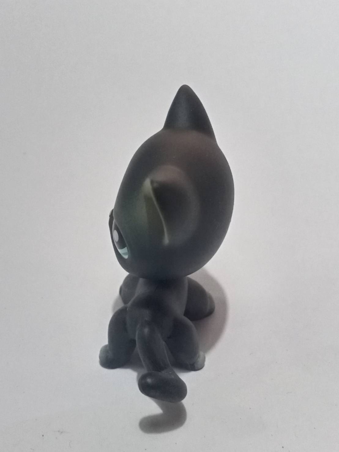 แมวสยาม (Siamese cat) สีเทา-ดำ ตาสีดำแซมฟ้า (หายาก)