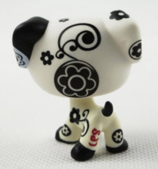 สุนัข Dalmatian สีขาว-ดำ ตาสีฟ้า ลำตัวสกรีนลาย