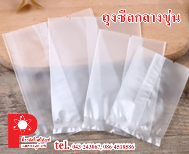 ถุงซีลกลาง