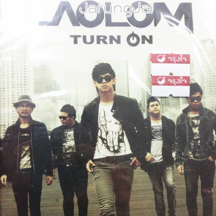 CD + คาราโอเกะ DVD : เล้าโลม ชุด Turn On