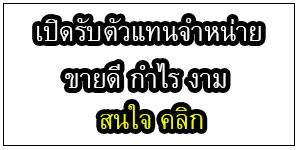กล้องติดรถยนต์ pantip