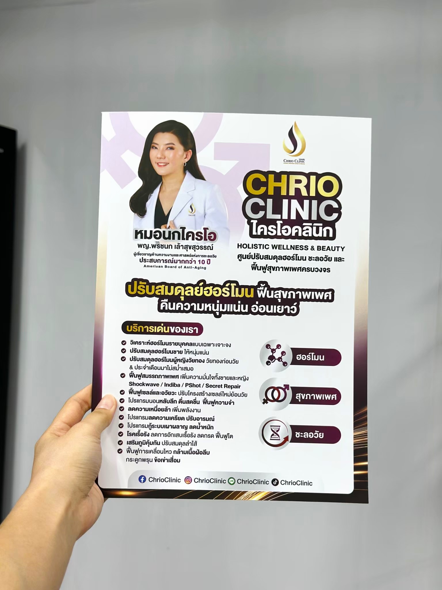 ผลงาน แฟ้มใส่เอกสาร