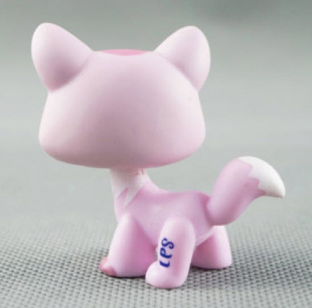 แมวเมนคูน (Maine Coon cat) สีชมพู ตาสีดำแซมเขียว #1788