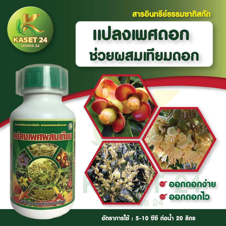 แปลงเพศผสมเทียม ออกดอกง่าย ติดผลเร็ว ผสมเทียมดอก ปลอดภัย ใช้ชุดแปลงเพศ สูตรพิเศษ ส่งฟรีเก็บเงินปลายทาง (ไม่บวกเพิ่ม)
