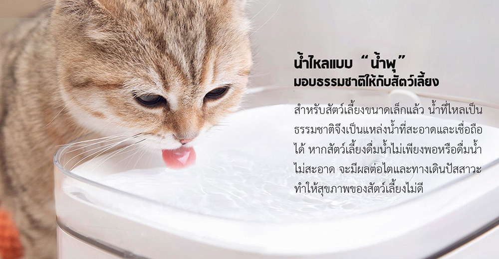 Xiaomi Smart Pet Water Dispenser - น้ำพุสัตว์เลี้ยงอัจฉริยะเสี่ยวหมี่