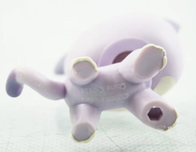 แมว Short Hair สีม่วงอ่อน ตาสีเขียว