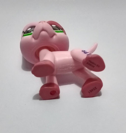 สุนัข เกรทเด้นท์ (Great Dane) สีชมพู ตาสีเขียว หู 2 สี แต้มแดงหน้าผาก