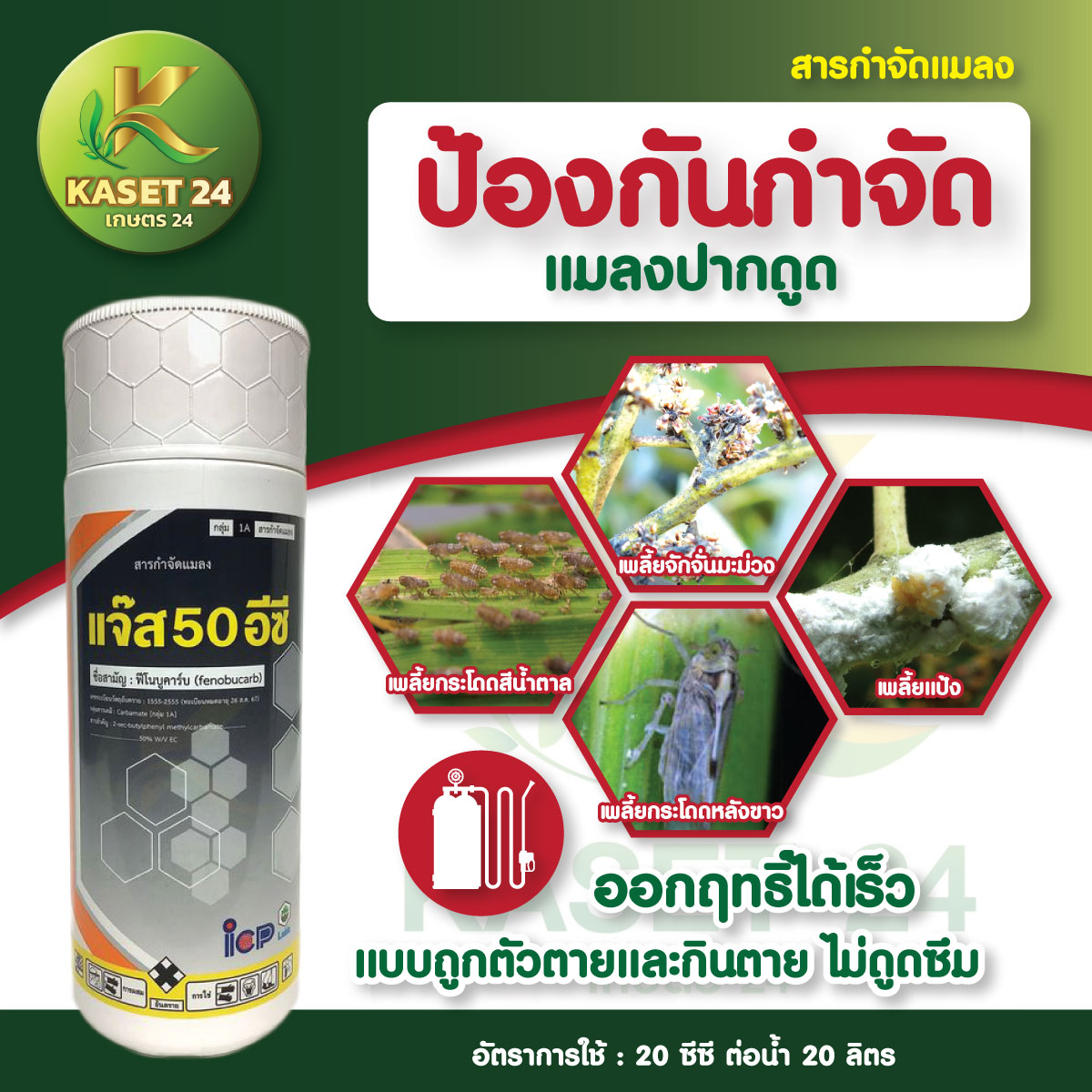แจ๊ส 50% EC ฟีโนบูคาร์บ ยาน็อคสูตรเย็น กำจัดเพลี้ยไฟ เพลี้ยกระโดด เพลี้ยไก่แจ้ เพลี้ยจั๊กจั่น หนอน (ขนาด 1 ลิตร) ส่งฟรีเก็บเงินปลายทาง (ไม่บวกเพิ่ม)
