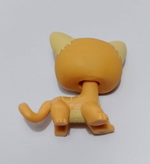 แมว Short Hair สีส้ม ตาแซมเขียว