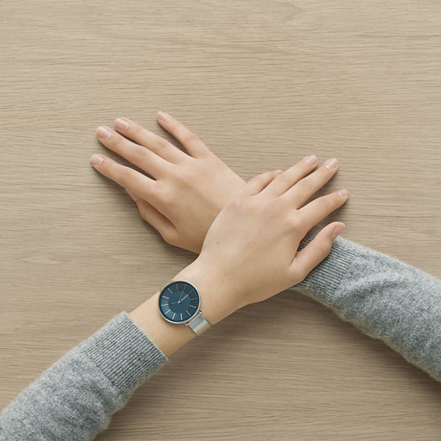 Skagen SKW2725 นาฬิกาผู้หญิง Skagen รุ่น SKW2725, Karolina Silk-Mesh Quartz Women's Watch