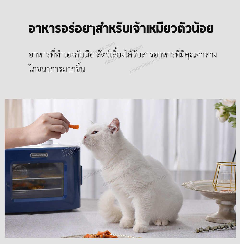 Xiaomi Morphy Richards Dried Fruit Machine - เครื่องอบแห้งผลไม้ (แถมหัวแปลง)