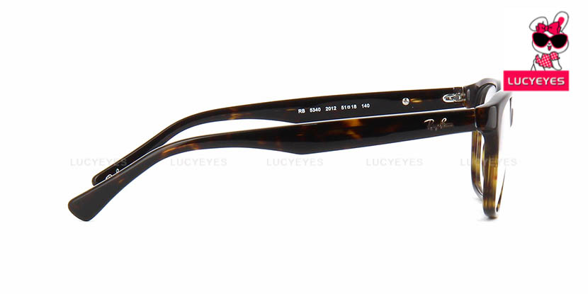 RayBan RX5340D 2012
