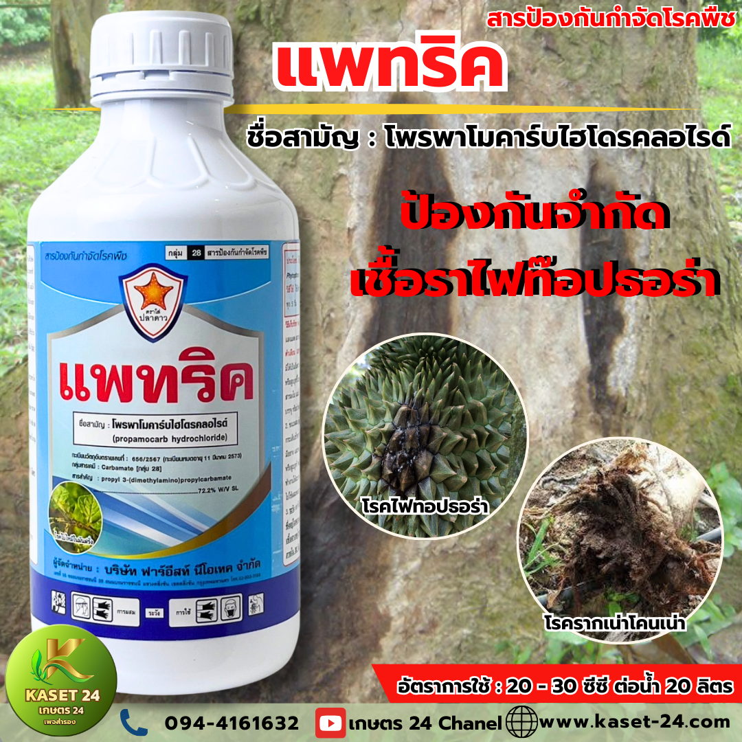 แพทริค ยาป้องกันและกำจัดเชื้อรา ไฟทอปธอร่า