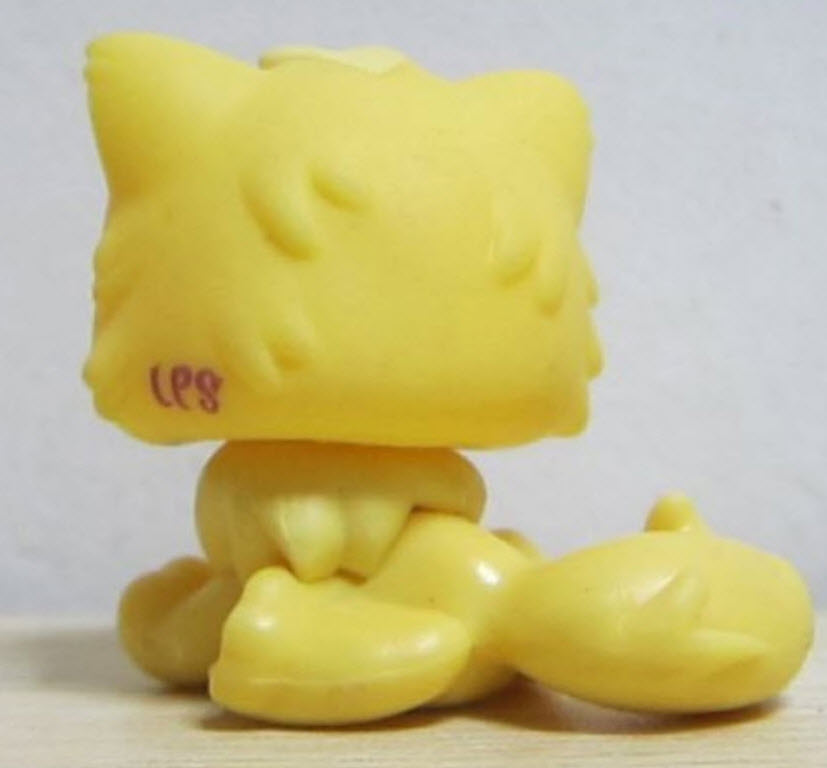 แมวเปอเซีย สีเหลือง โบว์สีชมพู #778