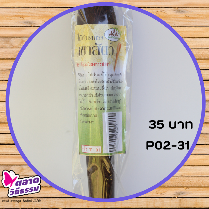 ไม้กัวซา ใช้เพื่อการขูดพิษ ขูดลม เทคนิคข้อที่ 2 ของแพทย์วิถีธรรม