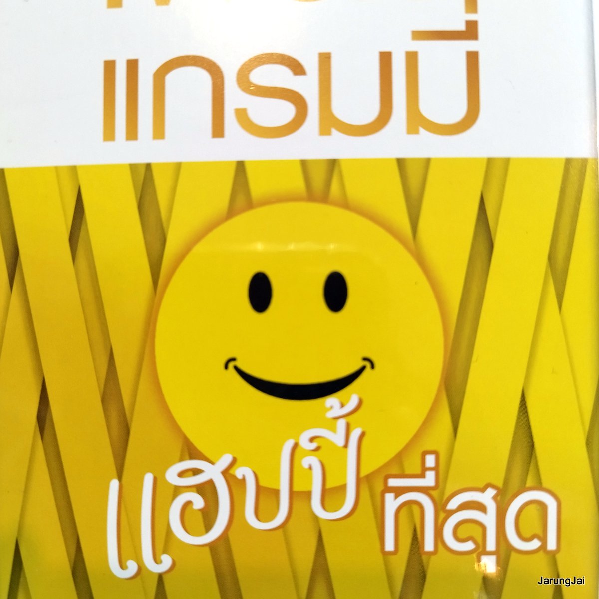 usb เพลงแกรมมี่ แฮปปี้ที่สุด สุขใจ เบิร์ด ธงไชย paradox palmy พลพล ลุลา ญาญ่า อุรัสยา mp3 usb gmm