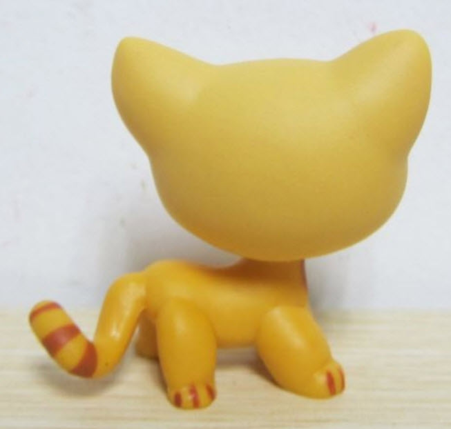 แมว Short Hair สีส้ม ตาแซมเขียว