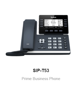 SIP-T53