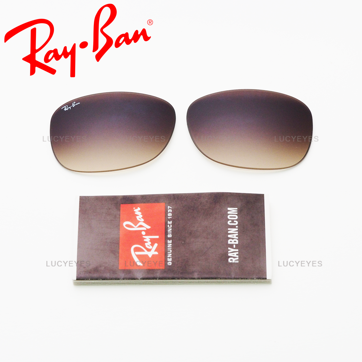 เลนส์ RAYBAN แท้ 100% RB4202F 6073/13, ANDY เลนส์สีน้ำตาลไล่สี