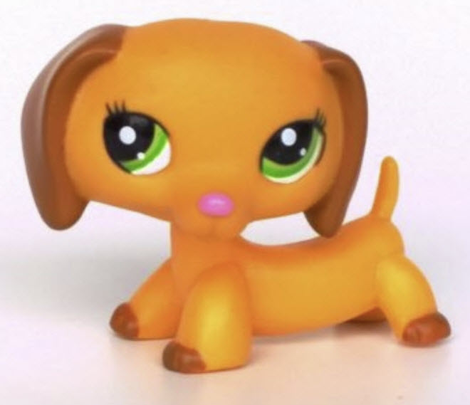สุนัขดัชชุนด์ (Dachshung) สีน้ำตาล # 2597