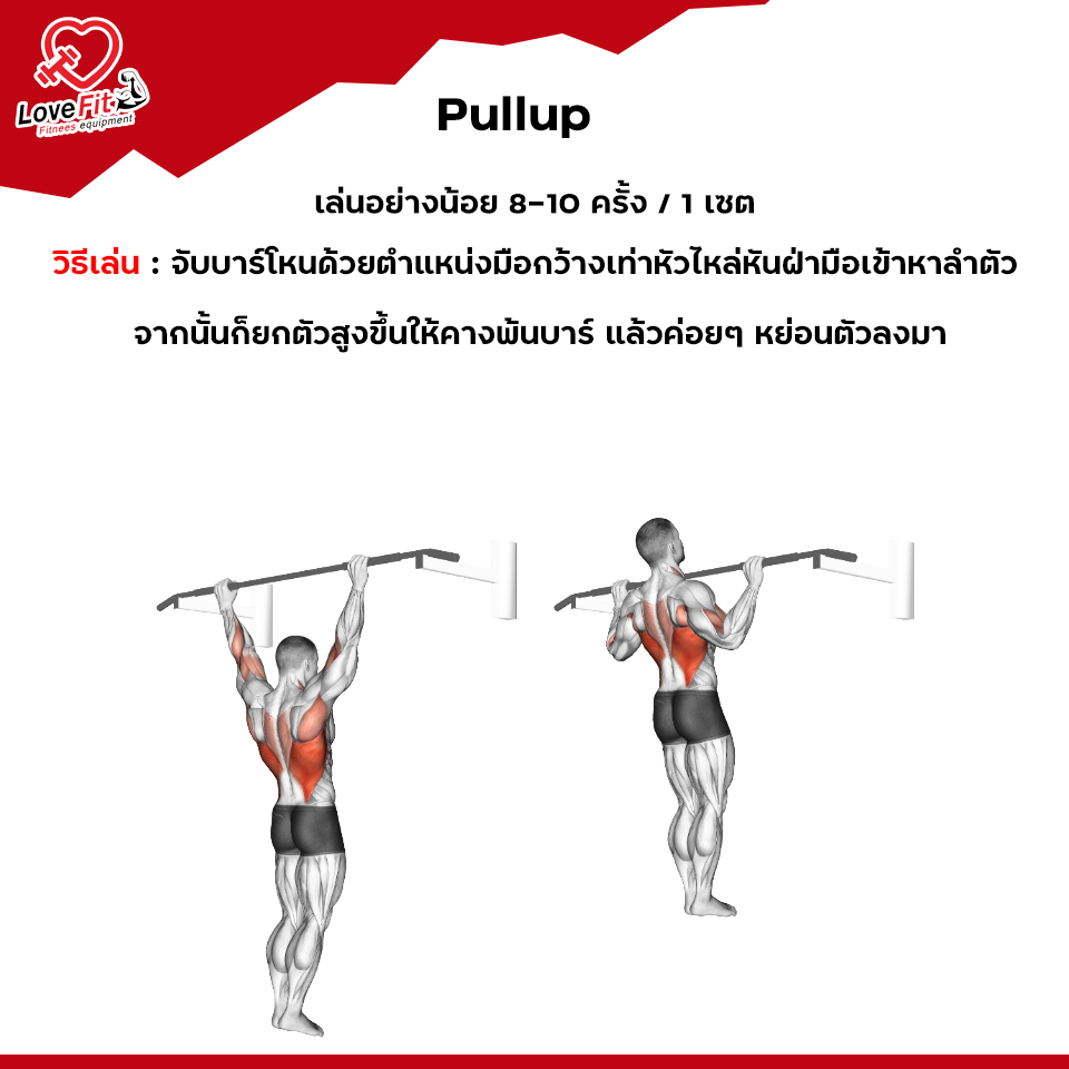 ดัมเบล,บาร์เบล,dumbbell,สร้างกล้ามหลัง,ท่าเล่นหลัง