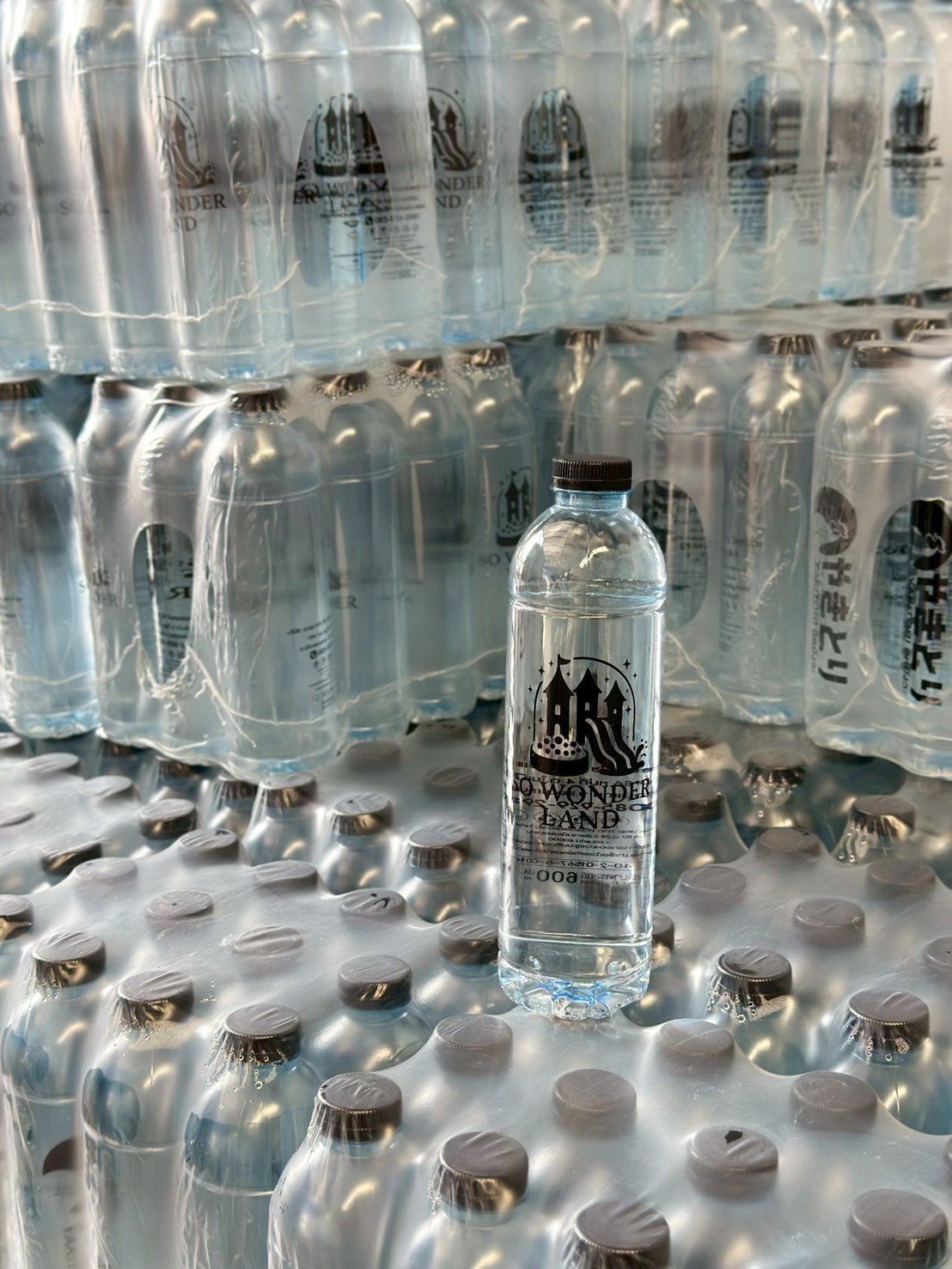 ผลงาน น้ำดื่มพร้อมสกรีนโลโก้ขวด