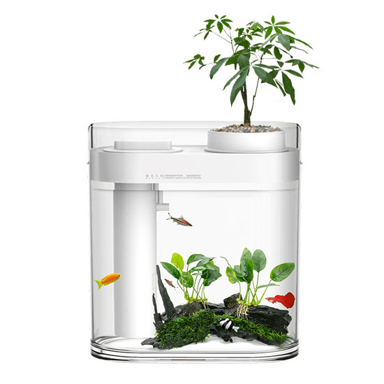 Xiaomi HFJH Geometry Fish Tank + Humidifier (Wisdom Edt.) - ตู้ปลาจำลองระบบนิเวศน์ในน้ำรุ่นวิสดอม