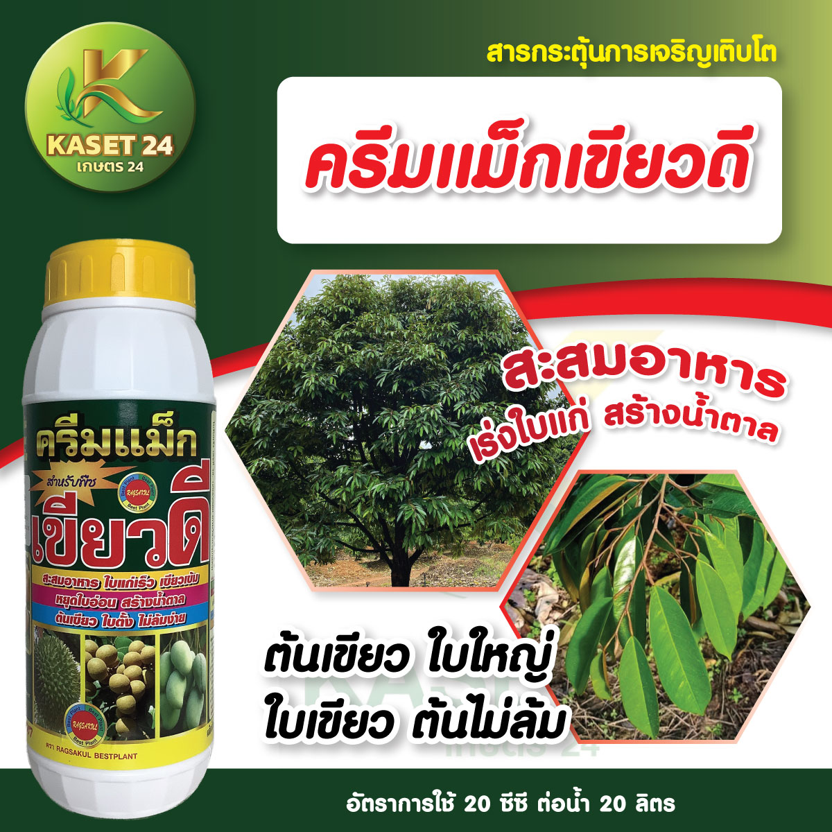 แมกนีเซียม เขียวดี เร่งการเพสลาด ช่วยให้ใบเขียวเข้ม สะสมอาหาร เร่งใบแก่ (ขนาด 1 ลิตร) ส่งฟรีเก็บเงินปลายทาง (ไม่บวกเพิ่ม)