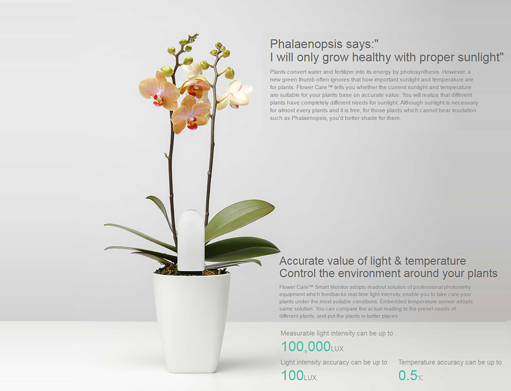 Xiaomi Flower Care Smart Monitor - เครื่องมือช่วยดูแลต้นไม้ (BLE) (CN/Global)
