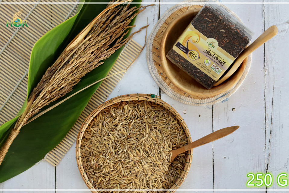 ข้าวไรซ์เบอรี่ 250 g ข้าวไรซ์เบอร์รี่ 250 g ข้าวไรซ์เบอรี่ปลอดสารเคมี 250 g ข้าวไรซ์เบอรี่เพื่อสุขภาพ 250 g ข้าวไรซ์เบอรี่โภชนาการสูง 250 g Organic Rice Berry (Mini Size 250 g) 250 กรัม