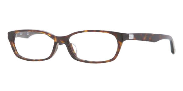 RayBan RX5291D 2012