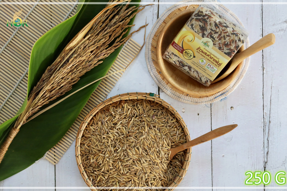 ข้าวรวมสารอาหาร 250 g ข้าวรวมประโยชน์ของอาหารออแกนิค 250 g ข้าวโภชนาการสูง 250 g ข้าวเติมวิตามิน 250 g ข้าวรวมวิตามิน 250 g ข้าวรวมคุณประโยชน์ 250 g Surin Organic 5 Multi-Grain Rice (Mini Size 250 g) 250 กรัม