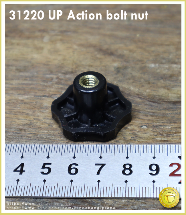 31220 UP Action bolt nut