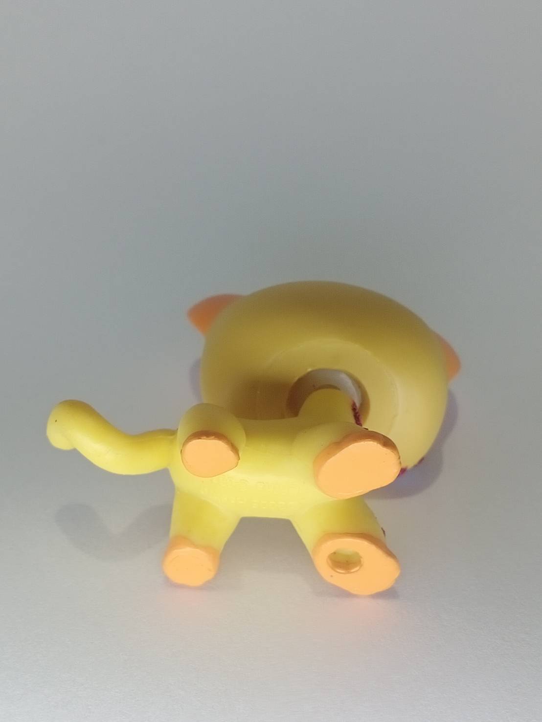 แมว Short Hair สีส้ม ตาสีฟ้า แต่งวิ้งค์