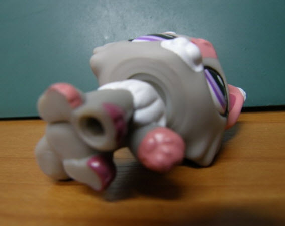 สนุนัขวูล์ฟ (Wolf dog) สีเทา ตาสีดำแซมม่วง #1921