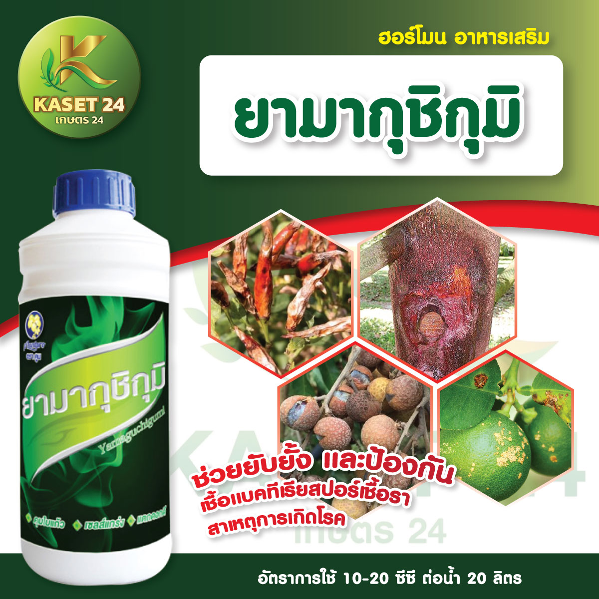 ยากำจัดเชื้อรา ยามากุชิกุมิ กำจัดโรคราสีชมพู โรคผลเน่า ฟิวซาเรียม โรคราแป้ง แอนแทรกโนส (ขนาด 1 ลิตร) ส่งฟรีเก็บเงินปลายทาง (ไม่บวกเพิ่ม)