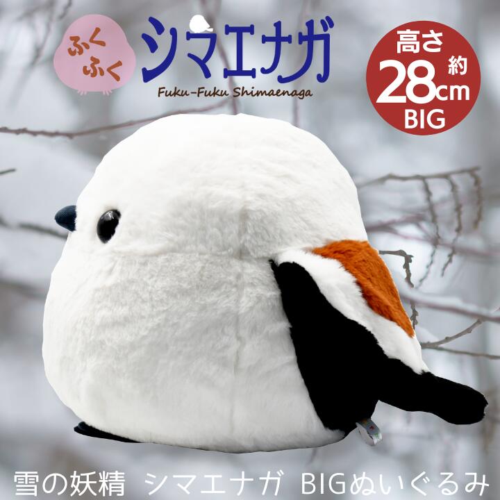 [PRE-ORDER] ตุ๊กตา ชิมะจัง นกชิมะเอะนากะ นกฮอกไกโด ตุ๊กตาตัวใหญ่ Fuku-Fuku Shimaenaga Shima-chan Size 28 cm นำเข้าจากญี่ปุ่น ふくふくシマエナガ BIGぬいぐるみ シマちゃん 高さ約 702398