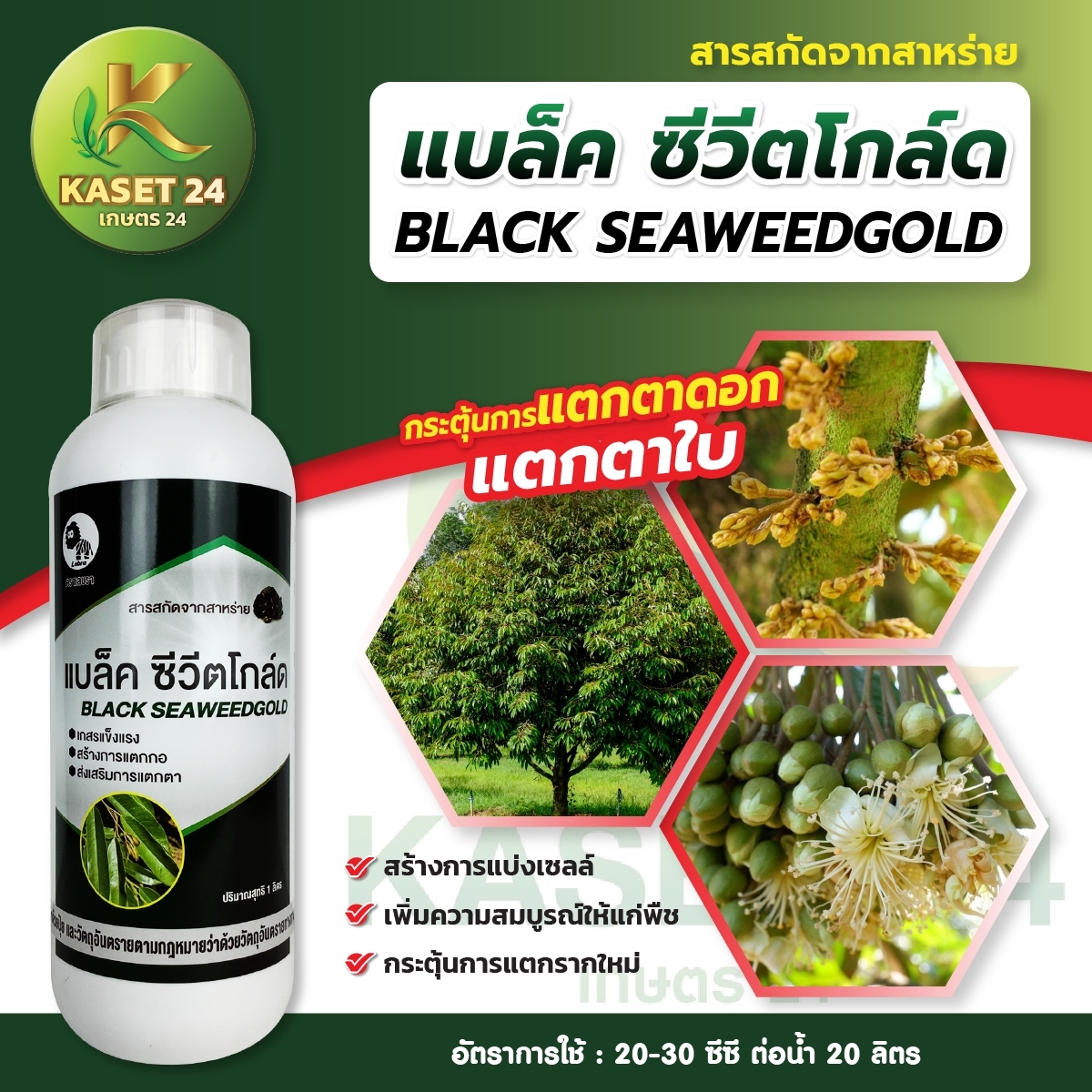 แบล็คซีวิต โกล์ด สร้างการแตกดอก เพิ่มปริมาณดอก ฟื้นสภาพต้นหลังเก็บเกี่ยว เกสรแข็งแรง เพิ่มการแตกตา