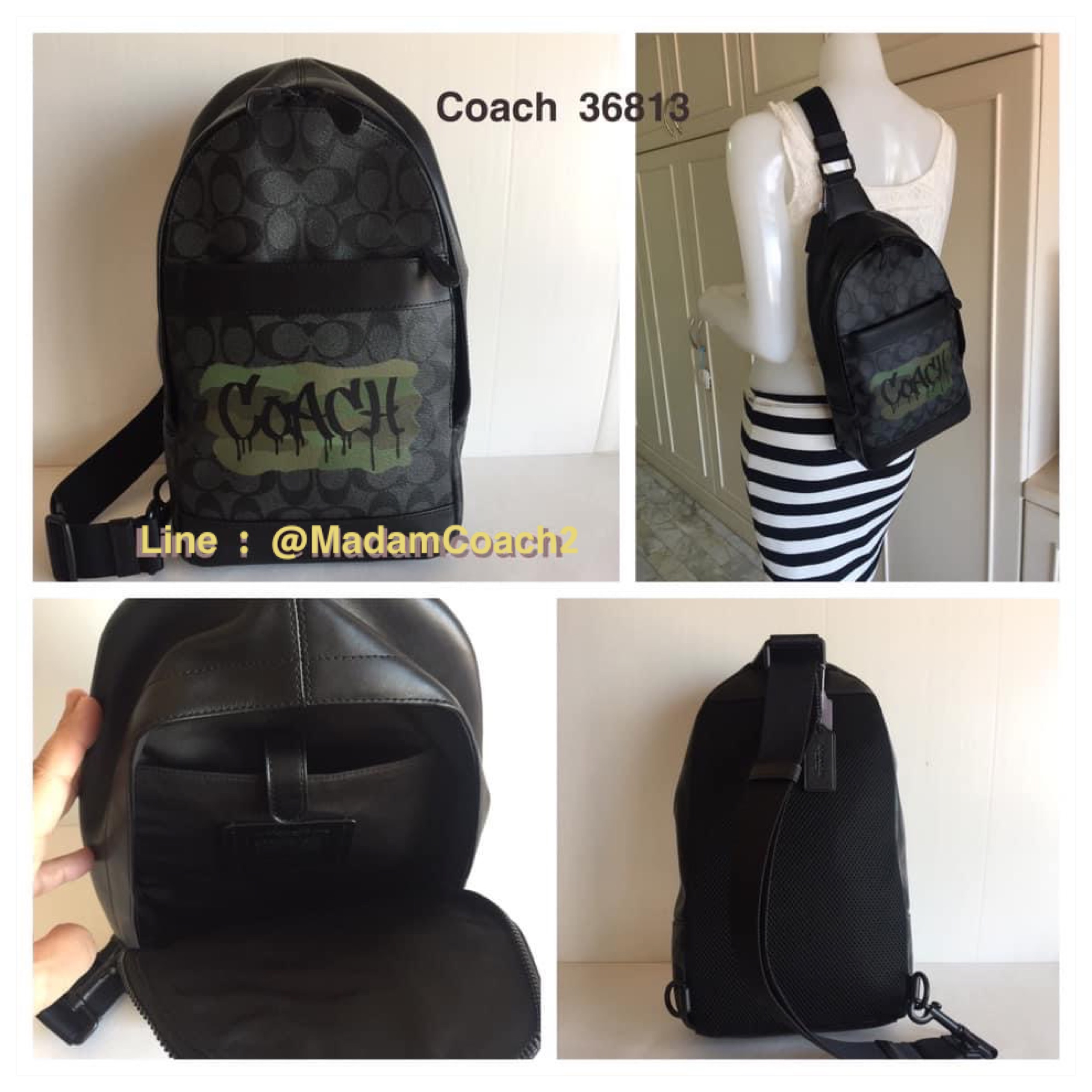 Coach 36813