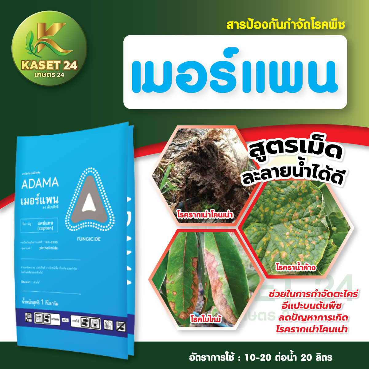 ยากำจัดเชื้อรา เมอร์แพน (แคปแทน) ผงเกร็ด กำจัดโรคราน้ำค้าง แอนแทรคโนส ใบไหม้ ใบแห้ง (ขนาด 1 กิโลกรัม) ส่งฟรีเก็บเงินปลายทาง (ไม่บวกเพิ่ม)