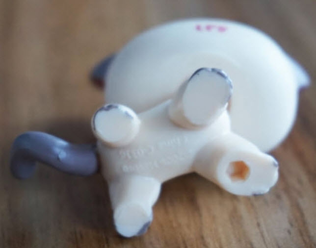 แมว Short hair สีน้ำตาล ขอบตาสีเทา