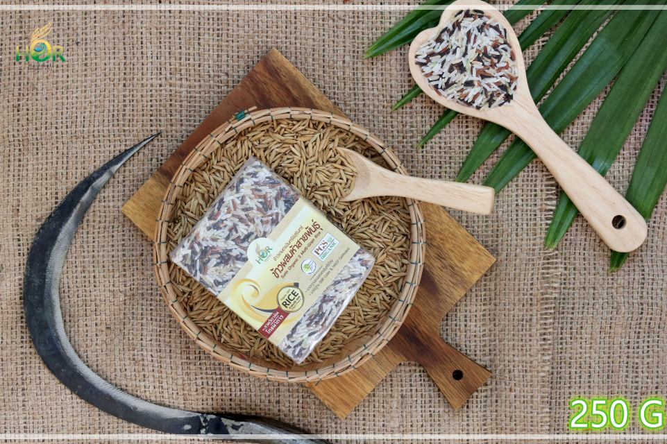 ข้าวรวมสารอาหาร 250 g ข้าวรวมประโยชน์ของอาหารออแกนิค 250 g ข้าวโภชนาการสูง 250 g ข้าวเติมวิตามิน 250 g ข้าวรวมวิตามิน 250 g ข้าวรวมคุณประโยชน์ 250 g Surin Organic 5 Multi-Grain Rice (Mini Size 250 g) 250 กรัม