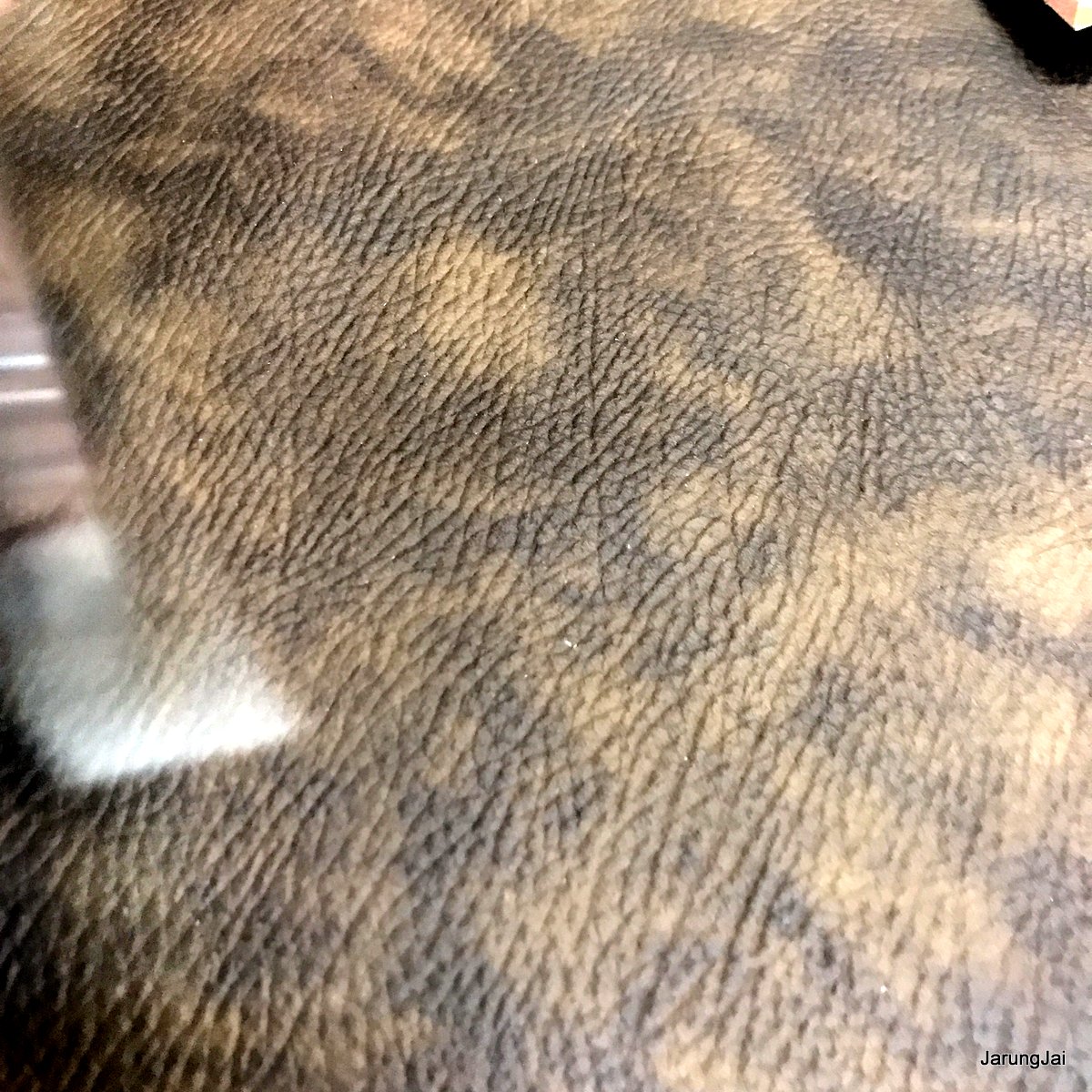 usb กล่อมกรุง เพลงเพราะที่สุดแห่งยุค 2500 รวม 75 เพลง เรือนแพ ชรินทร์ ฉลอง สิมะเสถรียร สวลี สุเทพ ธานินทร์ mp3 usb แม่ไม้เพลงไทย af 143